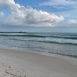 Meet your Posher, Posh Ambassador.